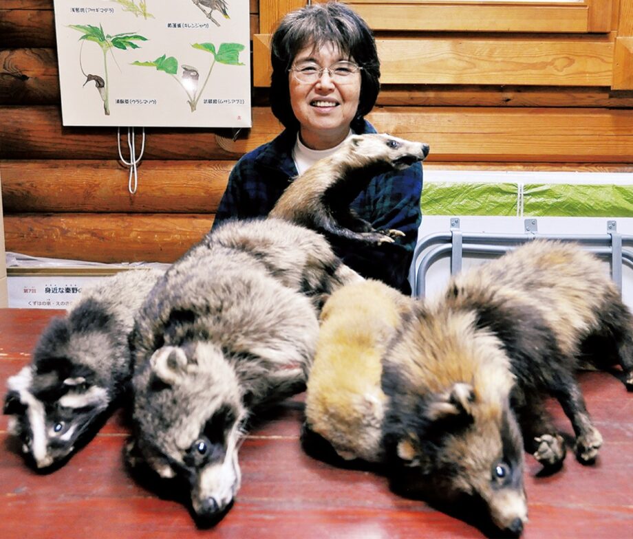 ３月22日～30日「いろいろな動物標本展」秦野市自然観察施設くずはの家