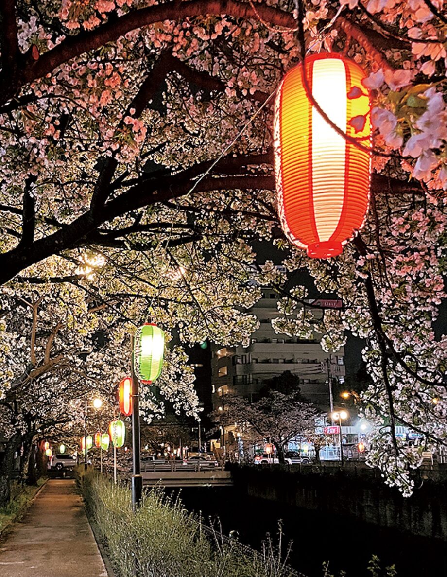 【４月１日（火）から】第37回多摩センター桜まつりが多摩センター駅北側乞田川沿いで開催