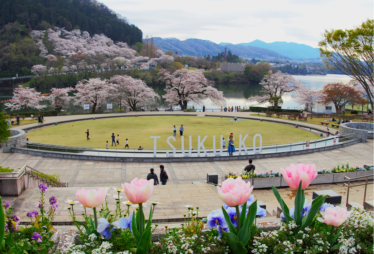 津久井 湖 記念 館