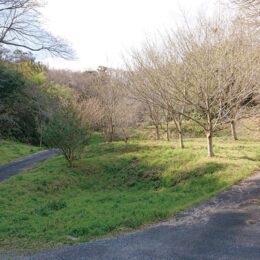 【鎌倉のとっておき】＜ 時を囲う覚園寺＞