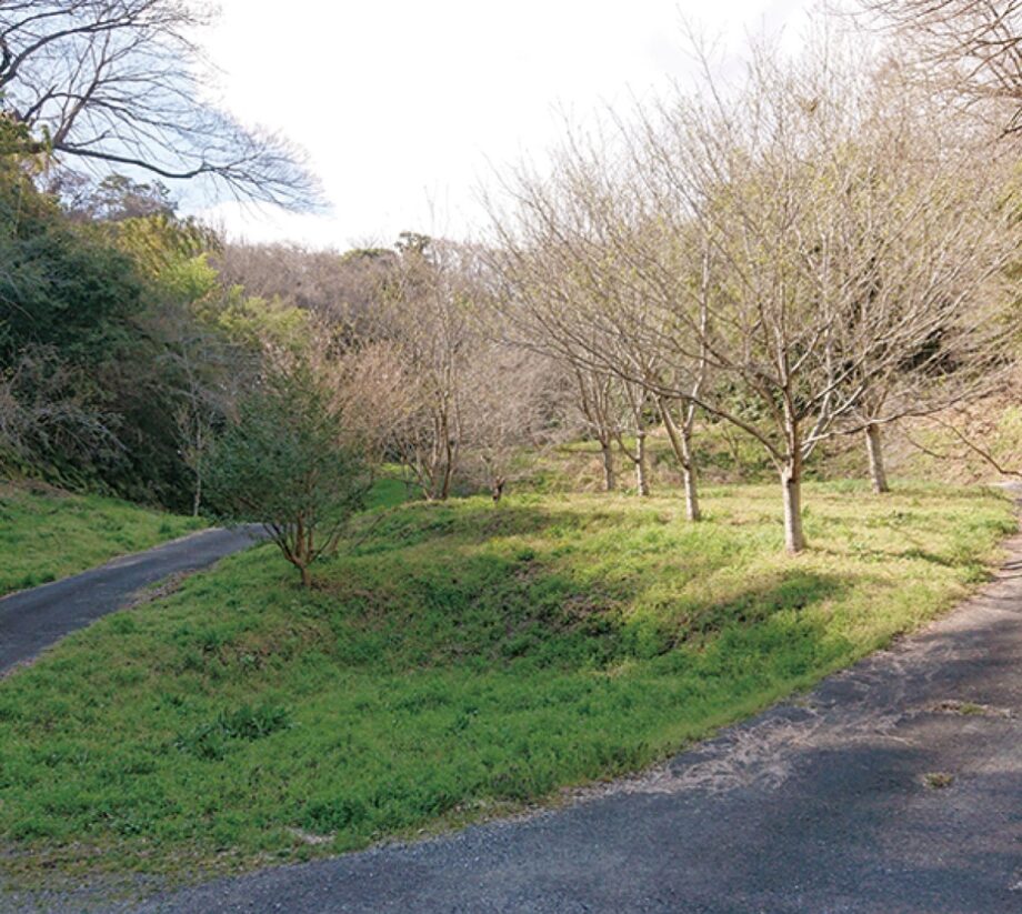 【鎌倉のとっておき】＜ 時を囲う覚園寺＞