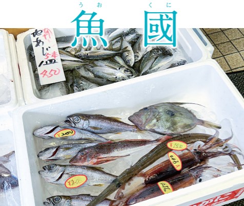 （9）魚國（鮮魚・飲食店）：朝獲れの新鮮地魚も豊富（小田原駅から徒歩約3分）