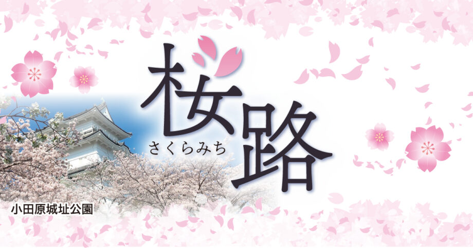 【小田原さくら特集2026】お花見前にチェック!桜穴場・まつり・グルメ まとめ情報
