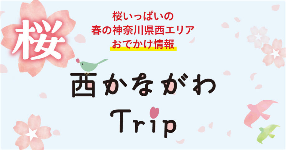 ＜読プレ付き＞桜いっぱいの春の神奈川県西エリア！おでかけ情報2026～桜  西かながわTrip～