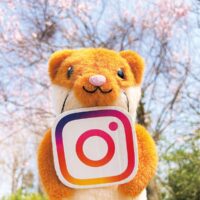 「横浜市栄区役所」インスタグラムを開設　栄区の魅力スポット情報や・タッチーくんの日常」など投稿