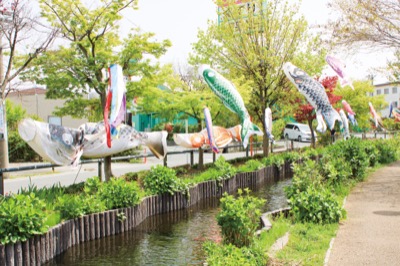 ＜川崎市中原区＞2025年も江川せせらぎ遊歩道沿いを32匹のこいのぼりが泳ぐ