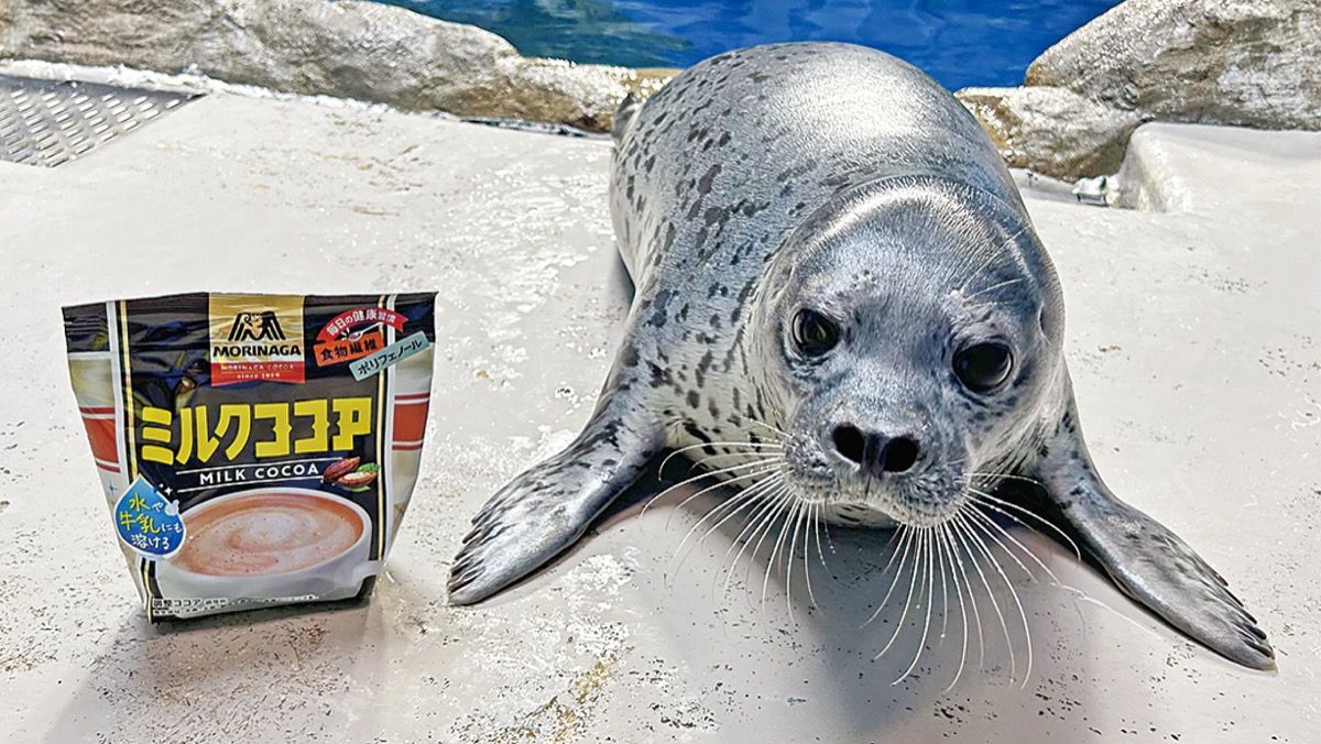 8f46490f1b512490298efb395080c8