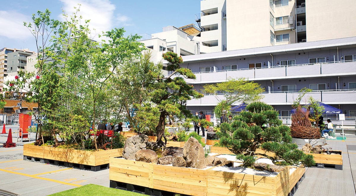 新木からの樹づくり 新木からの樹づくり