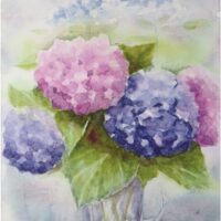 小田原市で水彩画愛好会が作品展〈５月７日(水)～12日(月)＠飛鳥画廊〉