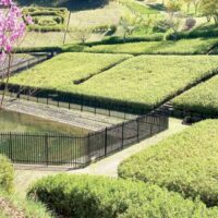 あつぎつつじの丘公園でライトアップとマルシェ【4月26・27日】