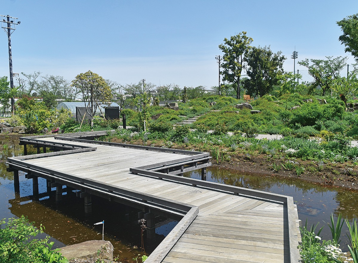 光 綾 公園