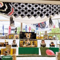 川崎市幸区・日吉出張所で兜飾りや五月人形、こいのぼりなどがずらり【2025年５月15日まで】