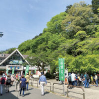 2025「高尾山若葉まつり」開催＠八王子市高尾町