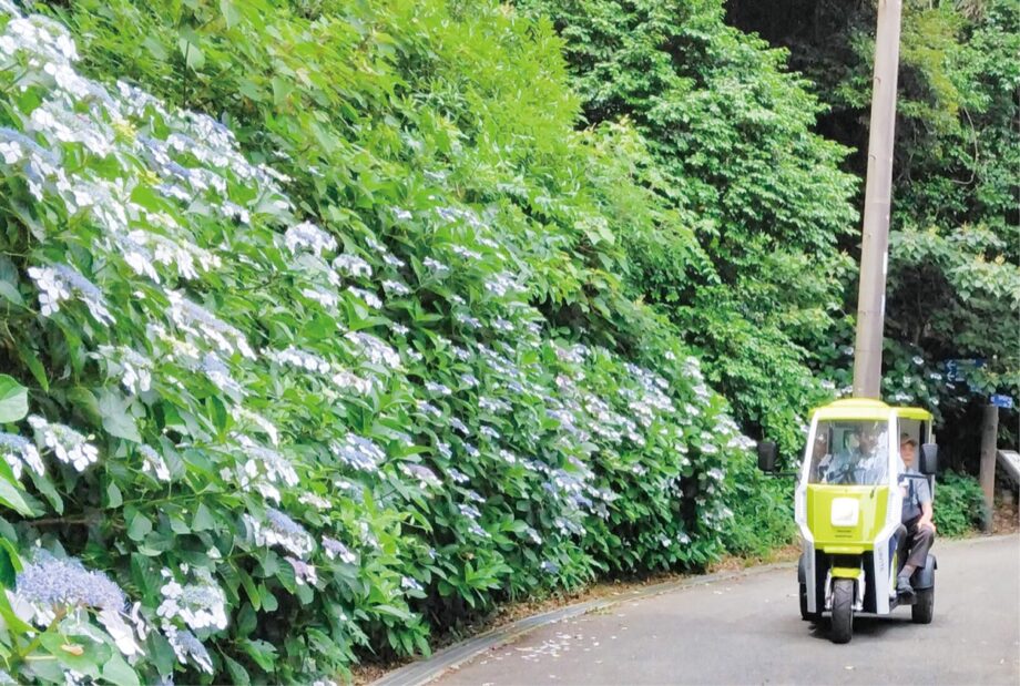 県立観音崎公園～アジサイ鑑賞ラクラク～2025年6月6日から8日まで高齢者を無料送迎