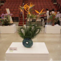「第38回あさひ茶花道協会 いけ花展お茶会」茶道と生け花のワークショップも＠横浜市の旭公会堂