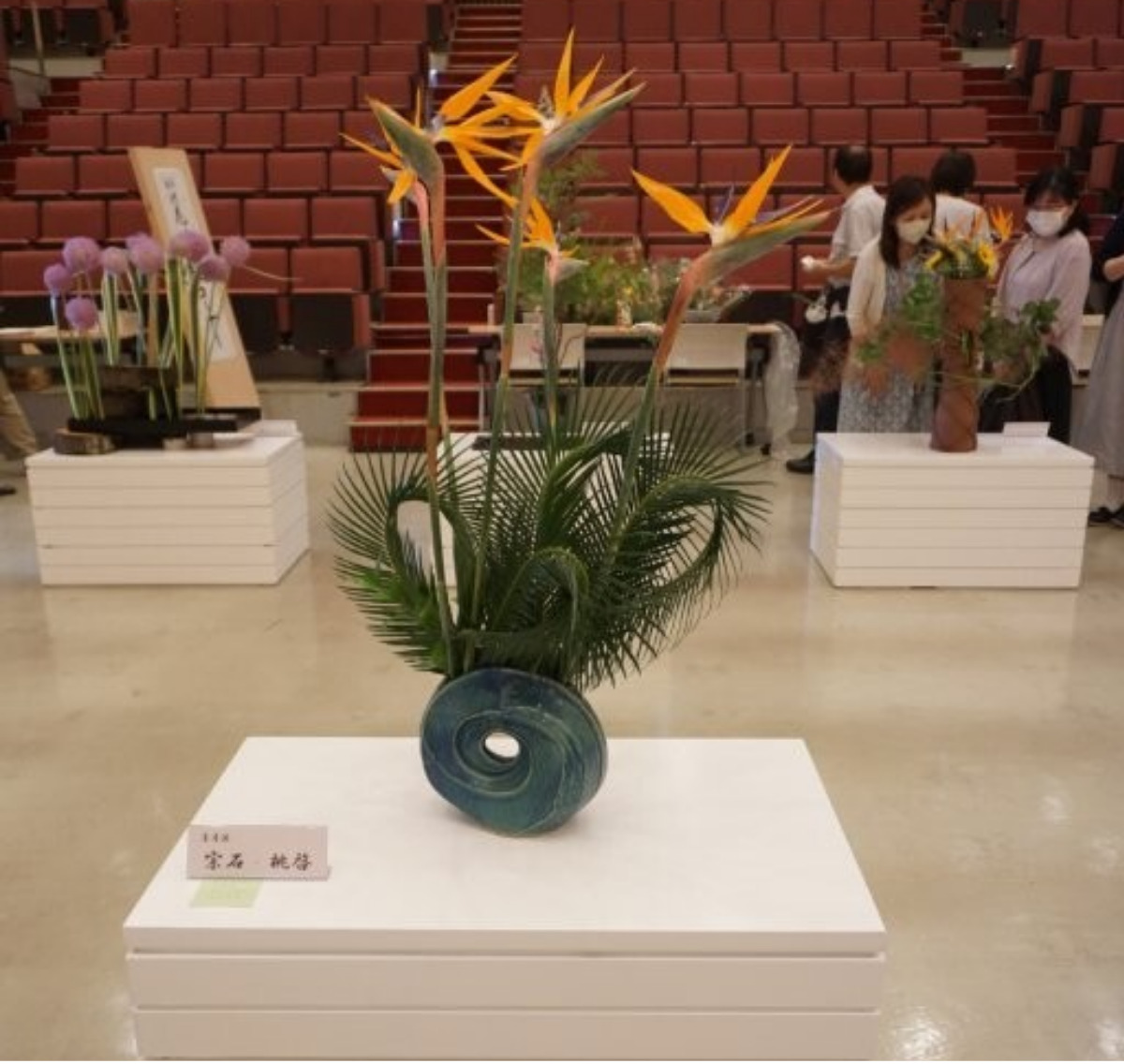6 オウム貝　ナウティルス貝 花器 吊り下げ式　生け花　花展　茶道　茶席 第38回あさひ茶花道協会 いけ花展お茶会」茶道と生け花のワーク