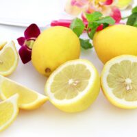 【５月30日～６月１日】川崎市・こすぎコアパークがレモン一色に「レモンフェスティバル」＠中原区