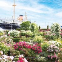 ＜2025年＞花と緑で街をつなぐ　ガーデンネックレス横浜【６月15日まで】山下公園ほか