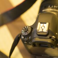 5月26から大和市で　会員の力作36点を展示　 写団さくら会　