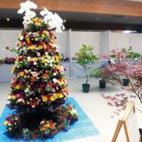 見どころが満載 花の展示会「湘南フラワーシティ」開催＠平塚市 花菜ガーデン