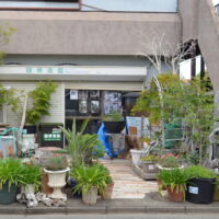 【取材レポ】大和市林間にある、伝統と芸術が織りなす「癒しの庭」を作りだす圓修（えんしゅう）造園さんに話を聞きました！