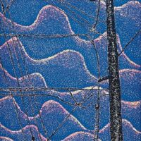 ５月21日～25日「志村のどかＷｏｒｋｓ展」開催＠秦野市丹沢美術館