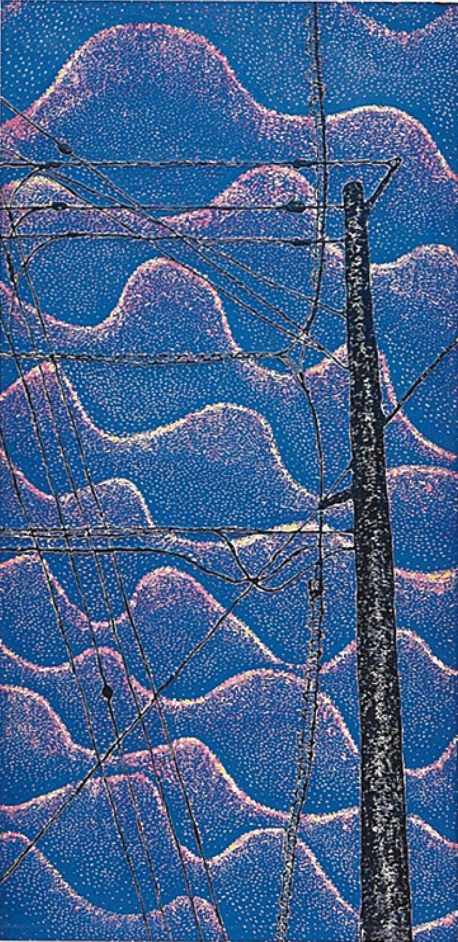 ５月21日～25日「志村のどかＷｏｒｋｓ展」開催＠秦野市丹沢美術館