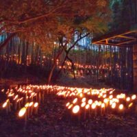 【横浜市都筑区】竹林に広がる幽玄の世界「竹灯籠まつり」 5月17日開催
