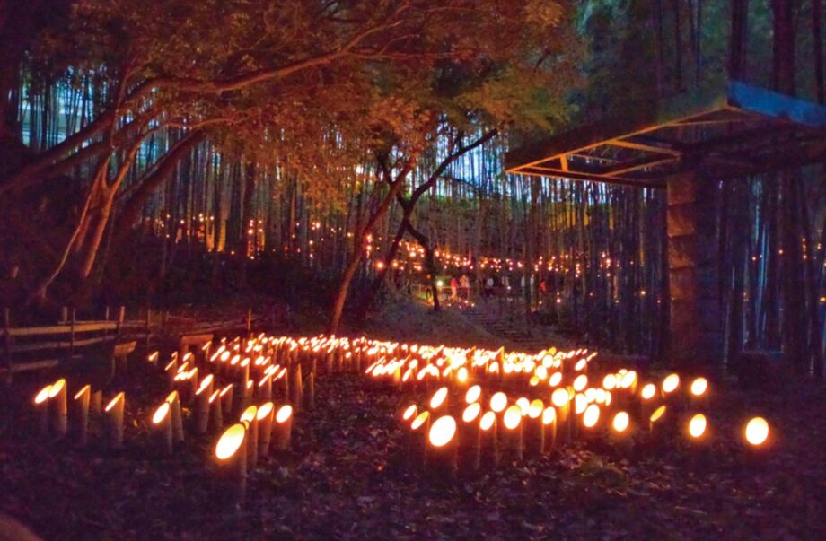 【横浜市都筑区】竹林に広がる幽玄の世界「竹灯籠まつり」 5月17日開催
