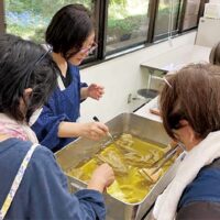 町田市の大賀藕絲館で「紅花の葉で草木染め」講習会開催