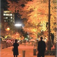 【横浜市港北区】5月21日～26日「フォトクラブひよし写真展」開催@ミズキーホール