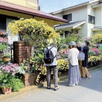 【横浜市港北区】「港北オープンガーデン」後半もまちを華やかに 5月16日・17日・18日開催