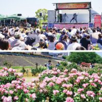 5月17日  厚木市旭町　相模川河川敷で「相模川ローズガーデンフェスティバル」