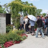 今が見頃 　綾瀬市のバラ園