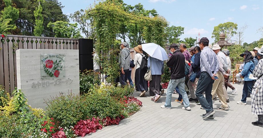 今が見頃 　綾瀬市のバラ園