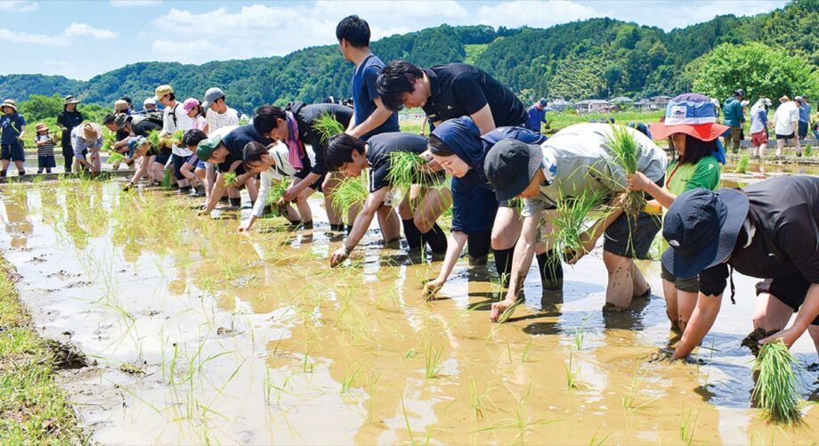 【申込先着順】ＮＰＯ法人はちぷろが、八王子市・高月地区の田園で「田植え体験イベント」を開催