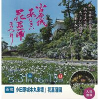 〈５月３１日～６月１５日〉小田原城で梅雨の花見「小田原城あじさい花菖蒲まつり」開催