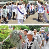 横浜市鶴見区で｢大蛇｣が生麦を巡る　６月１日「蛇も蚊も出たけー、日よりの雨け」