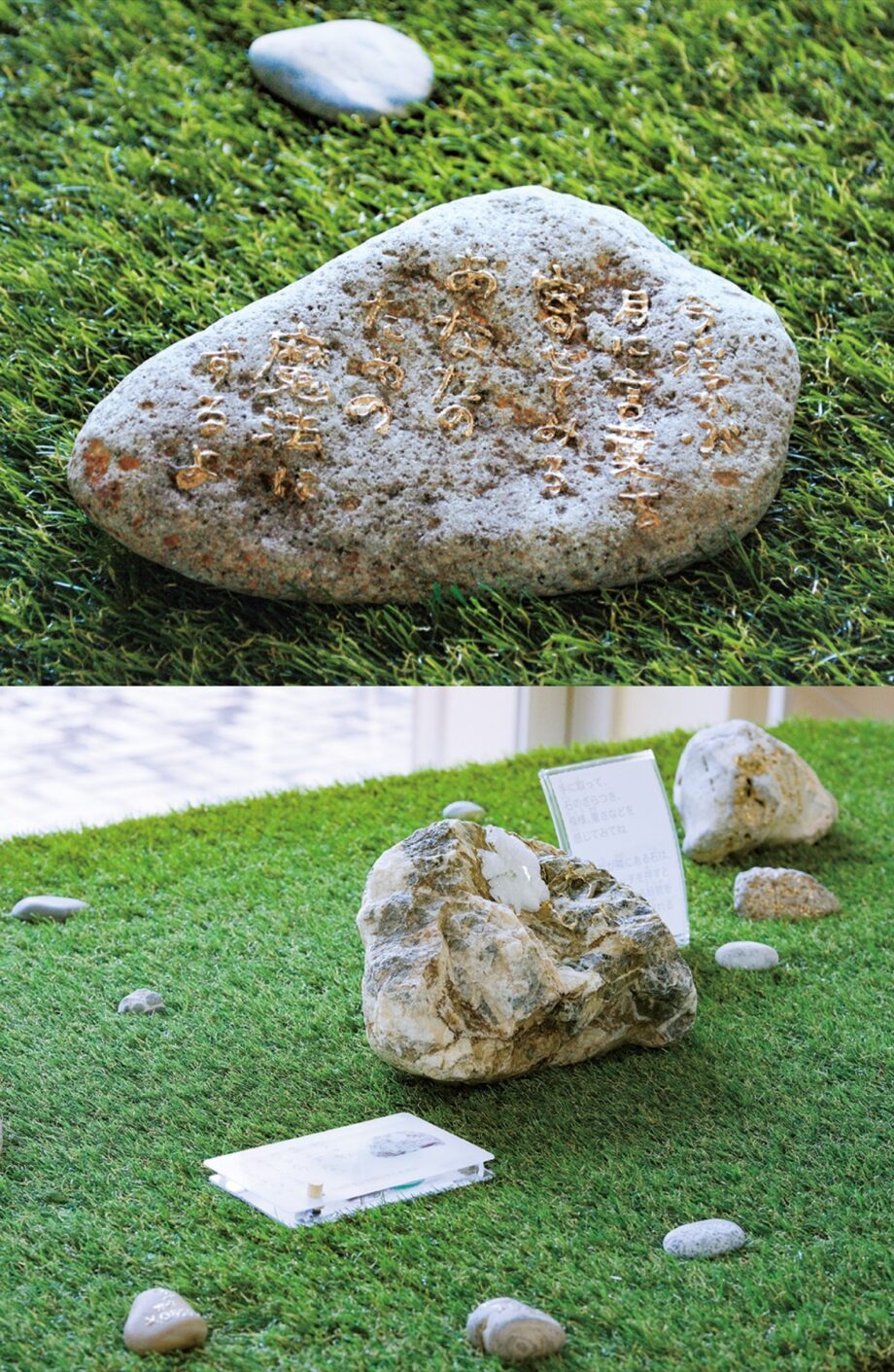 聖マリアンナ医科大学横浜市西部病院　アート企画第１弾「ひかりの庭にて」五感をフルに使って楽しんで！＠横浜市旭区矢指町