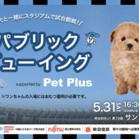 《GO!GO!!川崎フロンターレ》５月31日サンフレッチェ戦は愛犬と一緒に試合観戦だわん！