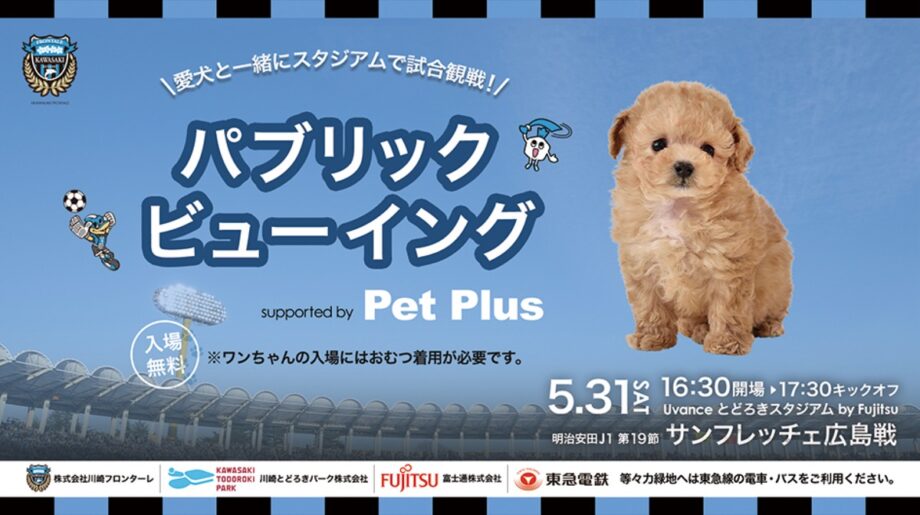 《GO!GO!!川崎フロンターレ》５月31日サンフレッチェ戦は愛犬と一緒に試合観戦だわん！