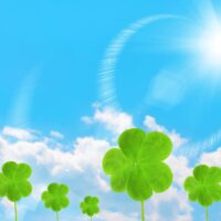 ＜6月8日＞綾瀬市の目久尻川中野橋付近をきれいに！