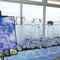 新江ノ島水族館で『”えのすい”の紫陽花』6月30日（月）まで