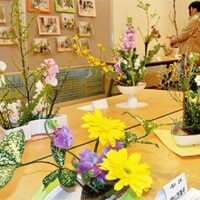 【全10回 参加者募集】平塚親子いけばな教室　対象は小学１年生から中学３年生