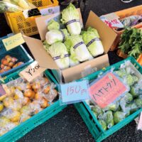 ＜川崎市高津区＞毎年恒例！エヌアセットの「野菜市」地元の新鮮な恵みをお届け【７月６日】珍しい野菜も