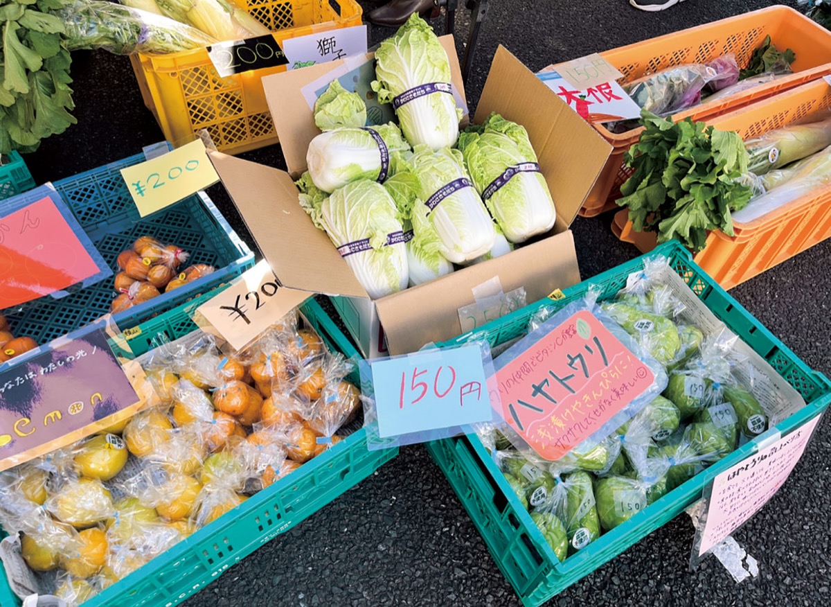 川崎市高津区＞毎年恒例！エヌアセットの「野菜市」地元の新鮮な恵みを