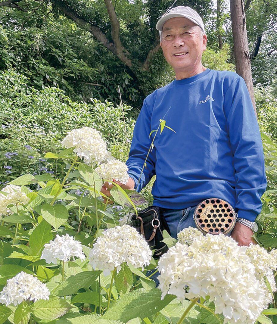 北鎌倉湧水ネットワーク 『アジサイ節目の千本 』六国見山森林公園に新名所を