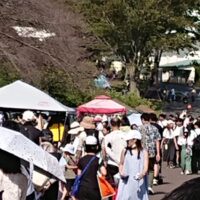 プール行く？フリマ行く？両方行こう