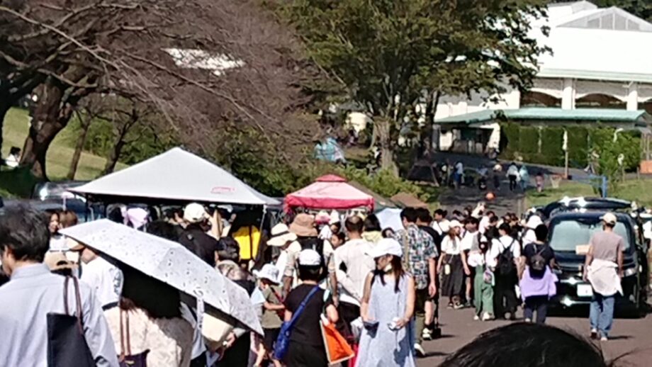 プール行く？フリマ行く？両方行こう