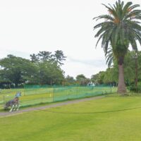 【真鶴町・お林展望公園】一般公園化で活用模索へ　暫定でパークゴルフ場も継続